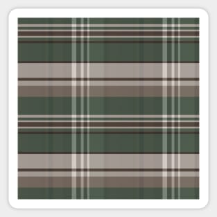 Dark Academia Aesthetic Iona 1 Hand Drawn Textured Plaid Pattern Sticker